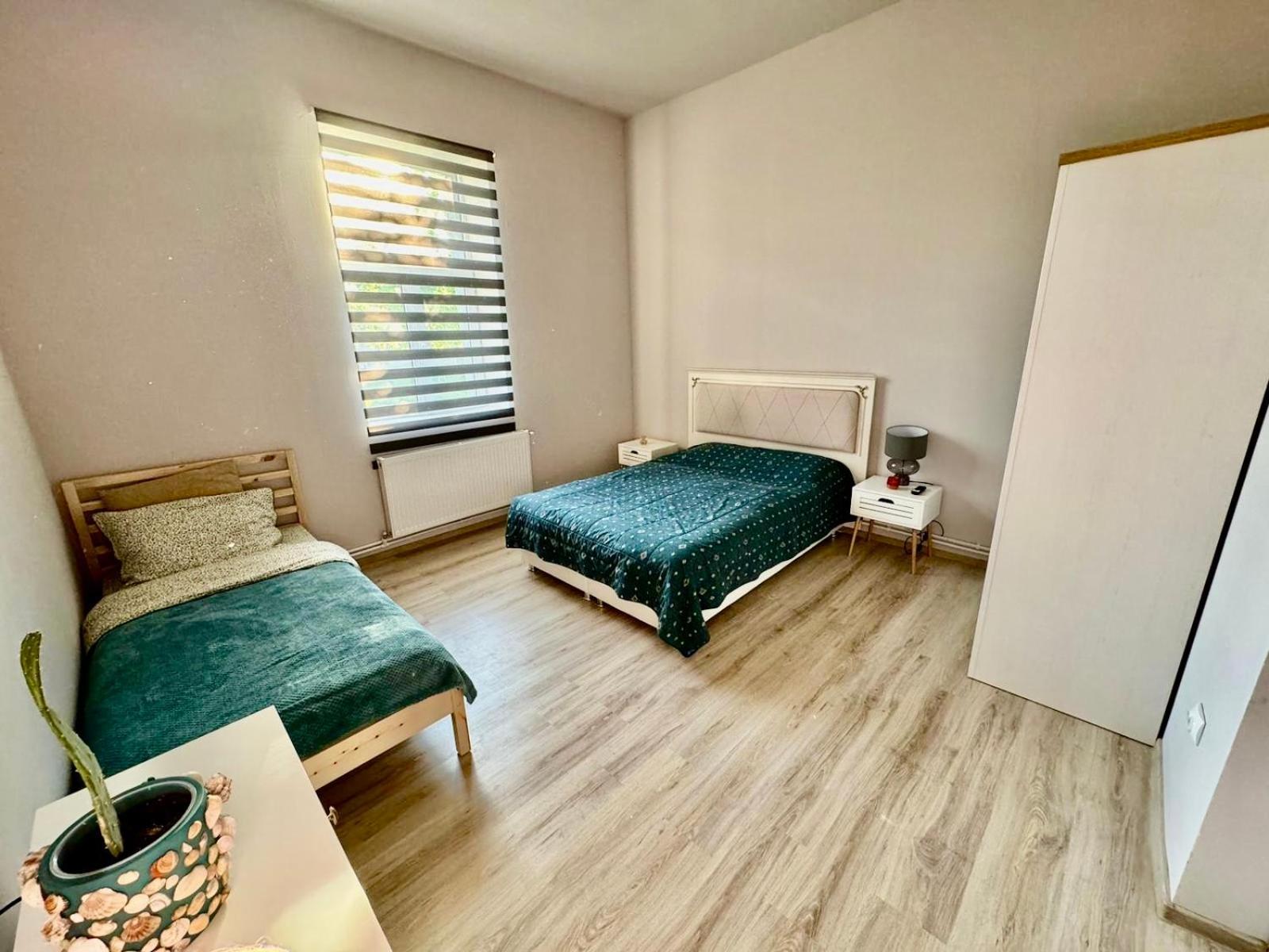 Serbian House Bed & Breakfast Timisoara Bagian luar foto