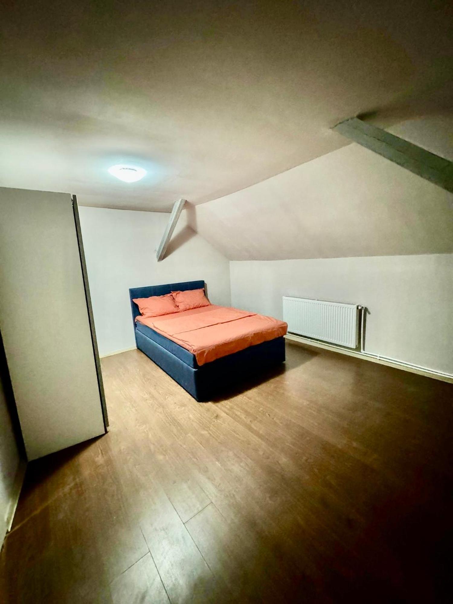 Serbian House Bed & Breakfast Timisoara Bagian luar foto