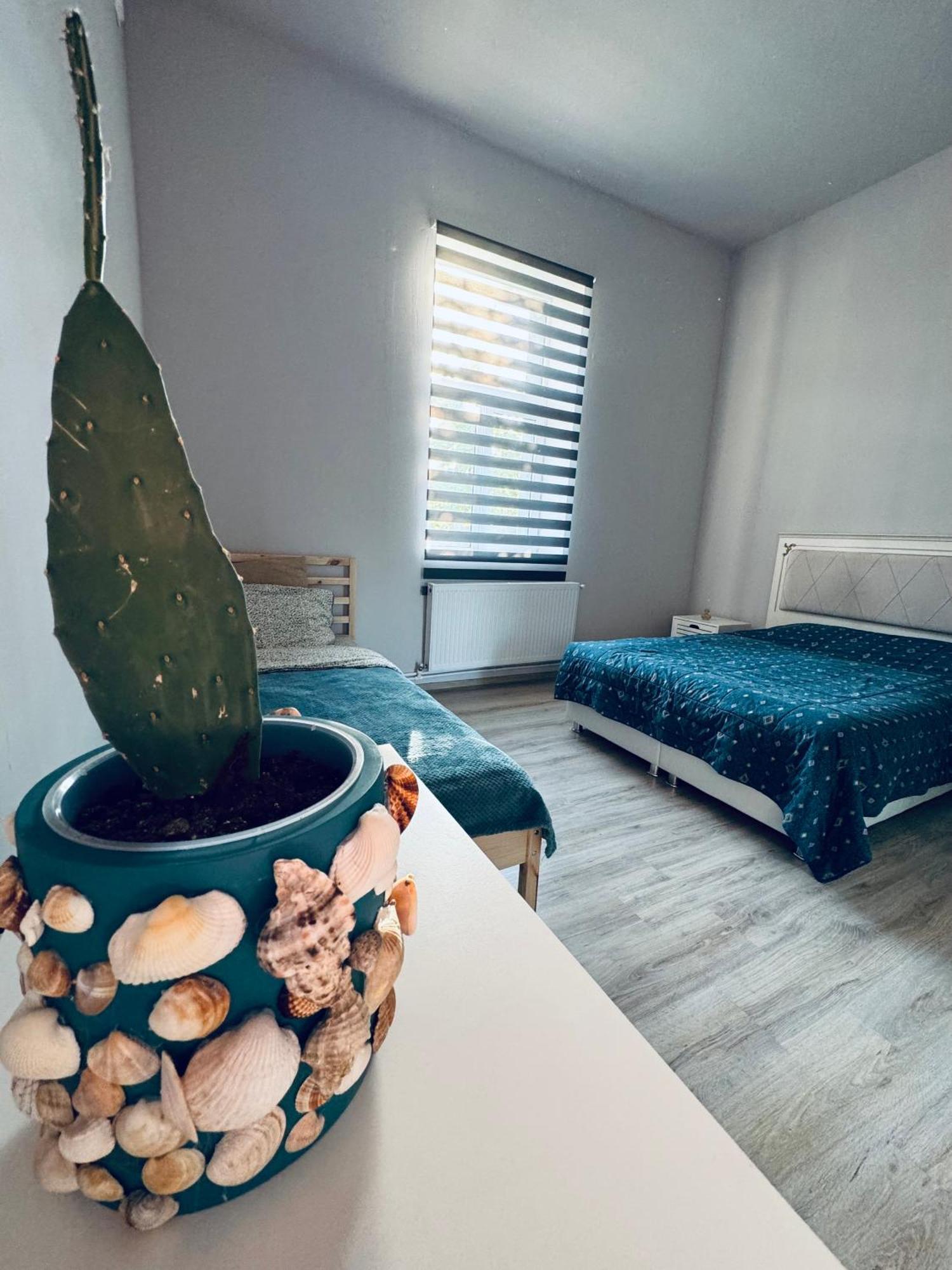 Serbian House Bed & Breakfast Timisoara Bagian luar foto