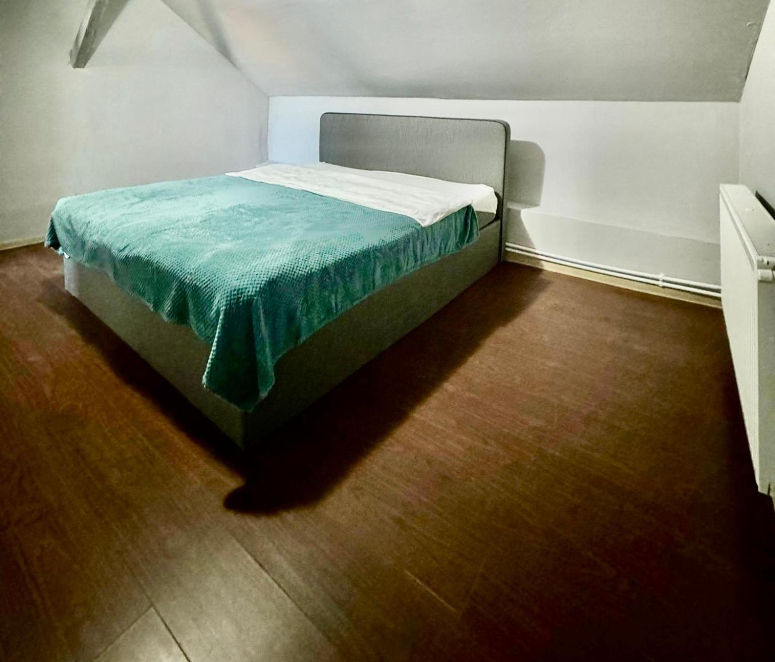 Serbian House Bed & Breakfast Timisoara Bagian luar foto